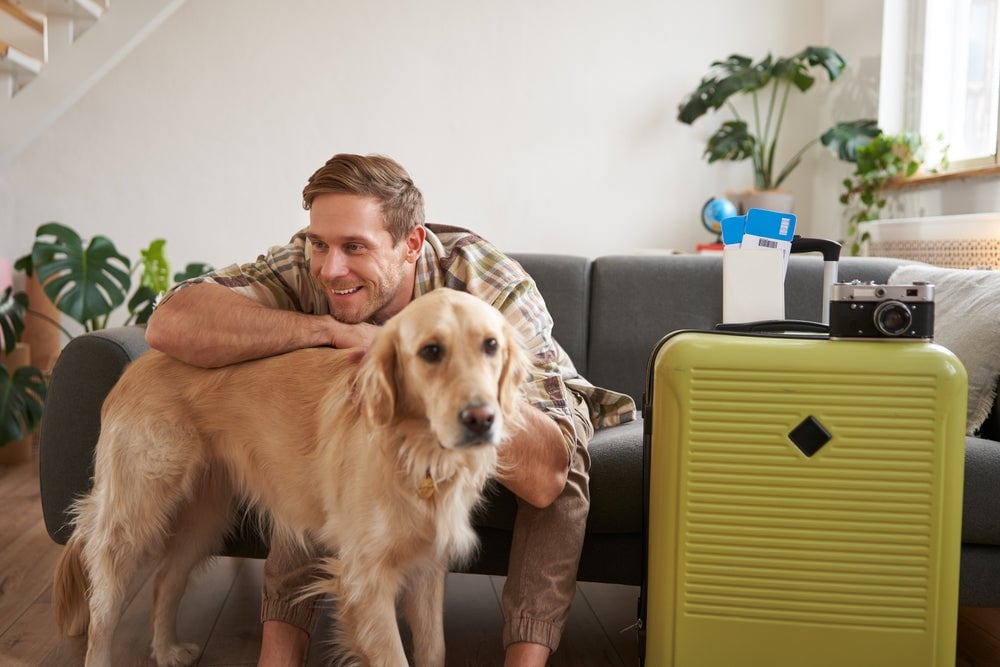 dog friendly travel rentals